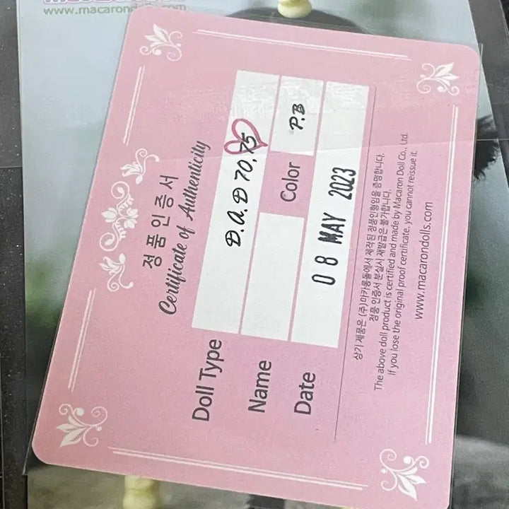 [BUNJANG] Dollyz DAD75 Normal BJD Body / 돌리츠 DAD75 노멀 구체관절인형 바디 양도