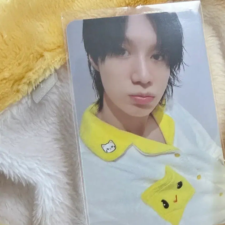 [BUNJANG] SHINee Key &amp; Taemin SPAO Pajamas / 샤이니 키 복실이 태민 탬아리 스파오 잠옷