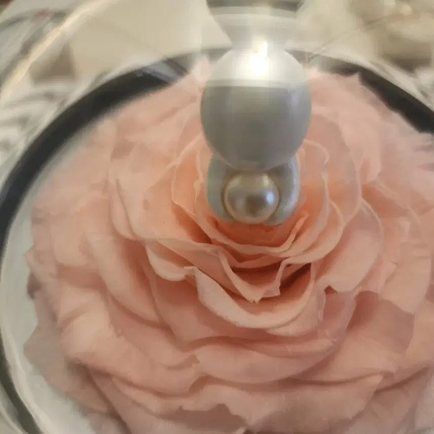 [BUNJANG] Roseonly Pink Preserved Rose Rabbit Pearl / 로즈온니 핑크 장미 영생화 진주 토끼 샤오잔 중국