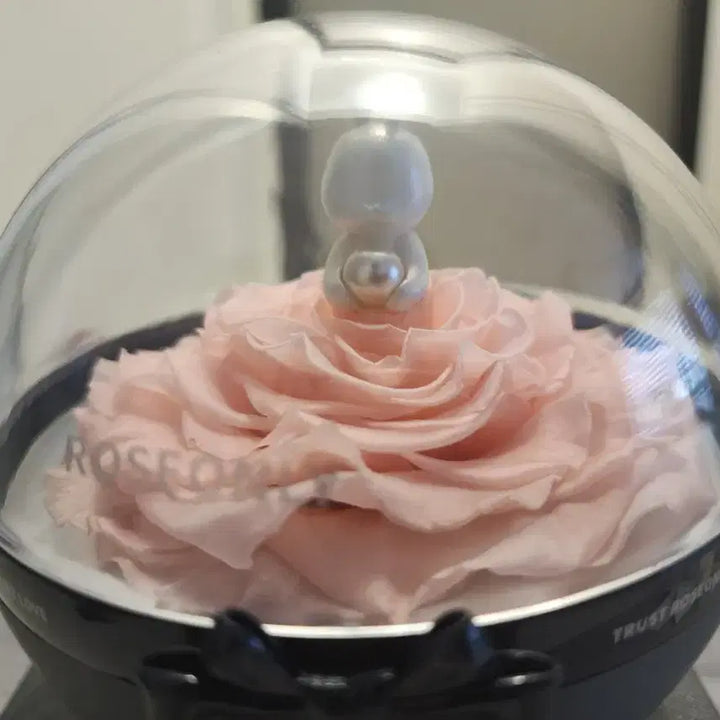 [BUNJANG] Roseonly Pink Preserved Rose Rabbit Pearl / 로즈온니 핑크 장미 영생화 진주 토끼 샤오잔 중국