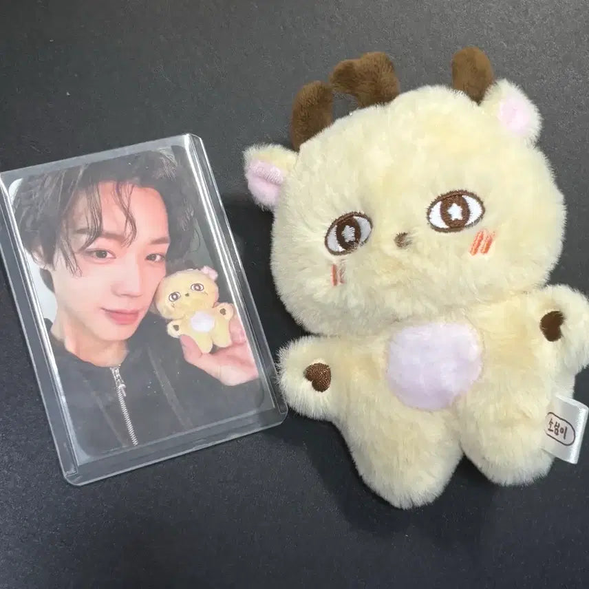 [BUNJANG] Park Jihoon &