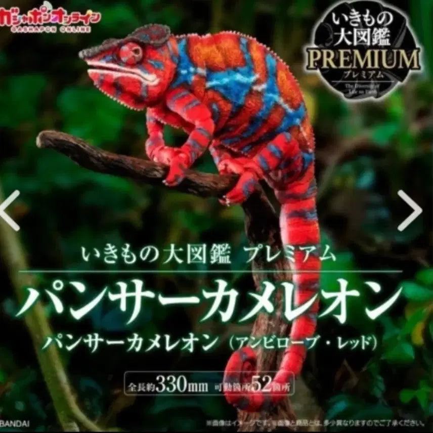 [BUNJANG] Bandai BioGatcha Premium Panther Chameleon (Ambilobe Red) / 반다이 생물대도감 프리미엄 팬서 카멜레온(암빌로비 레드)