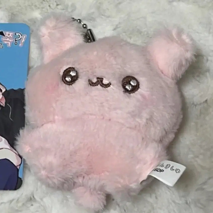 [BUNJANG] Fuwarimashu Gacha Pink Maro Plush Doll / 후와링마슈 누이구루미 가챠 핑크 마로