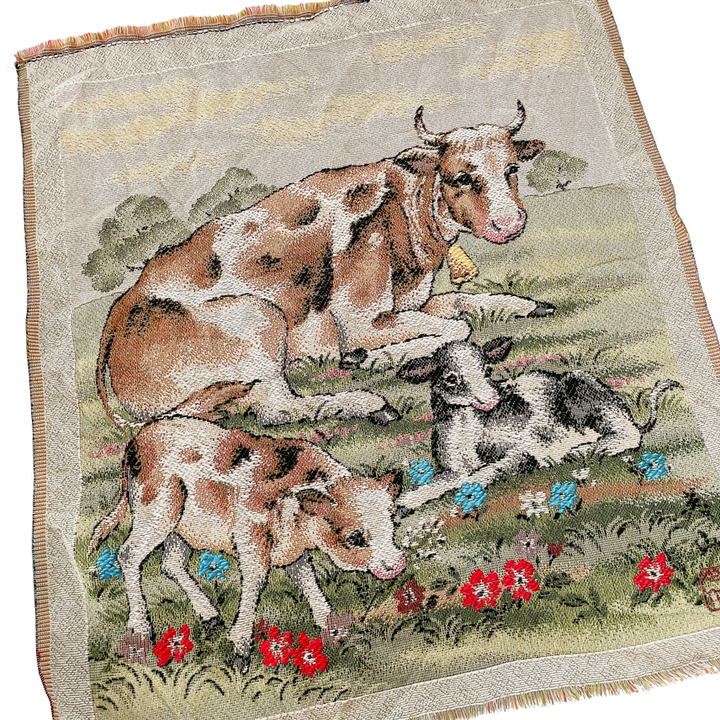 [BUNJANG] Tapestry Wall Hanging (Japan) / 일본 타피스트리