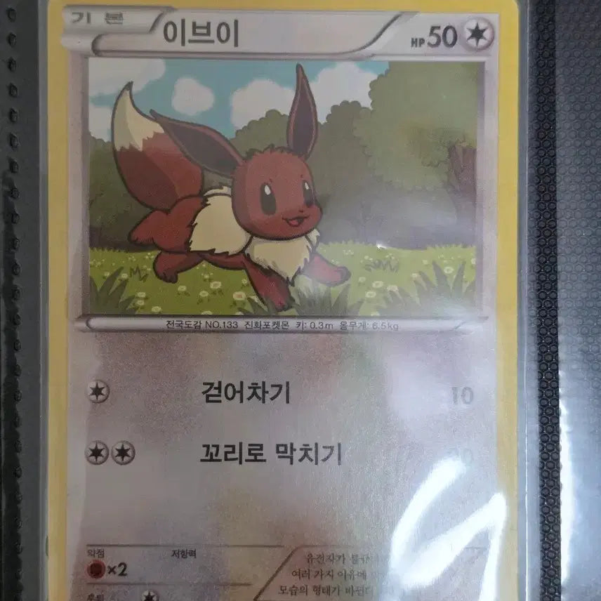 [BUNJANG] Eevee Vintage Pokemon Card - Old School Collection / 포켓몬카드 이브이 bgr 고대 고전 빈티지 올드백 덱소스 도감작