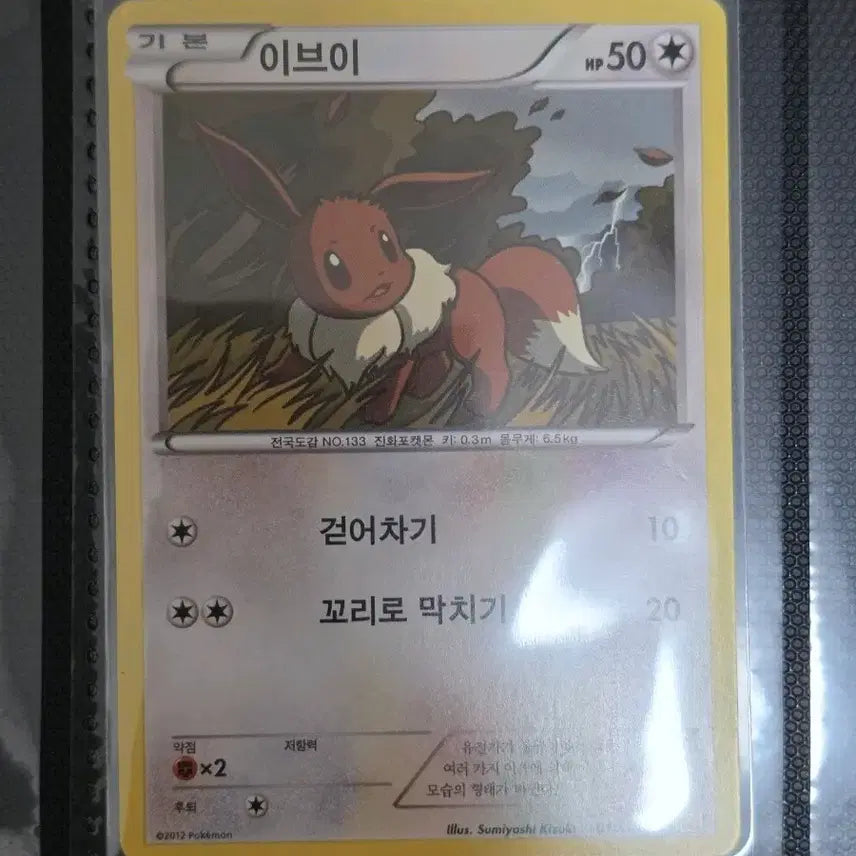[BUNJANG] Pokémon Card Eevee BGZ Ancient Classic Vintage Old Deck Source Collection / 포켓몬카드 이브이 bgz 고대 고전 빈티지 올드백 덱소스 도감작