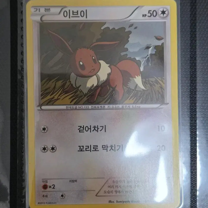 [BUNJANG] Pokémon Card Eevee BGZ Ancient Classic Vintage Old Deck Source Collection / 포켓몬카드 이브이 bgz 고대 고전 빈티지 올드백 덱소스 도감작