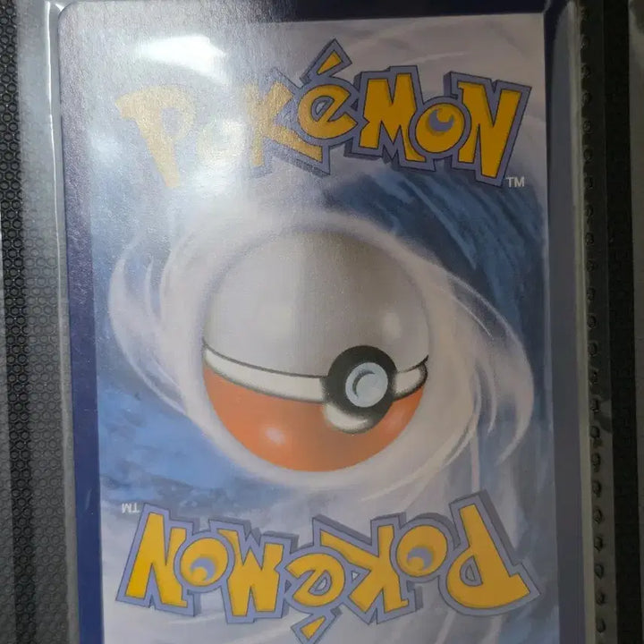 [BUNJANG] Pokémon Card Eevee BGZ Ancient Classic Vintage Old Deck Source Collection / 포켓몬카드 이브이 bgz 고대 고전 빈티지 올드백 덱소스 도감작