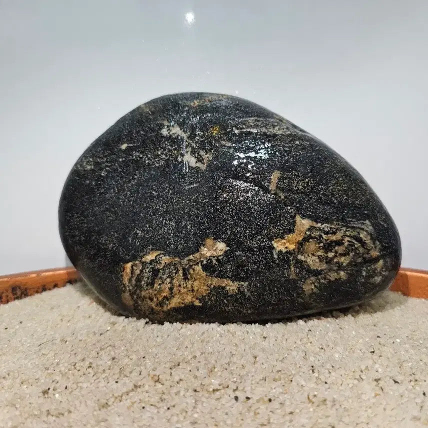 [BUNJANG] Natural Stone Turtle Pattern Stone - 17cm / 수석 자연석 거북이 문양석 크기 17센치정도