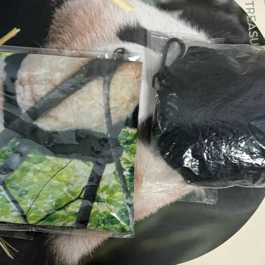 [BUNJANG] Fu Bao Paw Keychain Chiffon Poster Bundle Set / 푸바오 시그 발바닥키링 쉬폰포스터 일괄판매