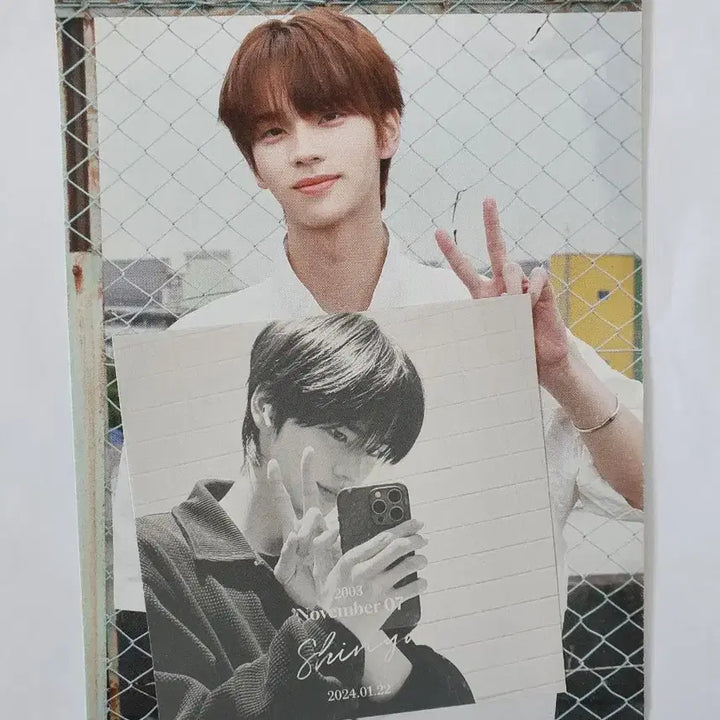 [BUNJANG] TWS Shinyu, Youngjae Signed Postcard Bundle Set / 투어스 친필 엽서