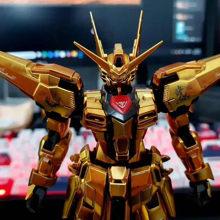 [BUNJANG] RG Akatsuki Custom Build - Matte Finish / rg 아카츠키 무광마감
