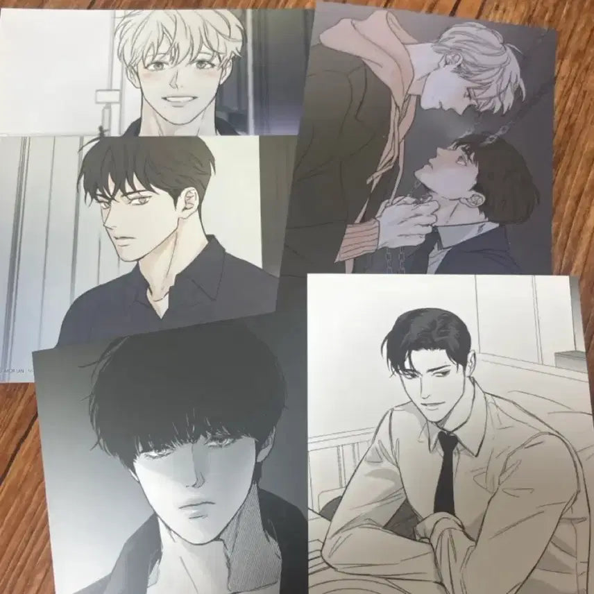 [BUNJANG] Mofun APPY Arctic Fox Hyangmagirl Postcard Bundle Set / 모펀 어피 북극여우 향마걸 엽서 일괄