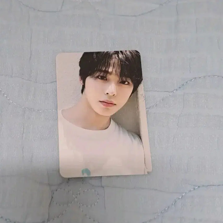 [BUNJANG] NCT WISH Riku Photocard / 엔시티위시 리쿠 포카