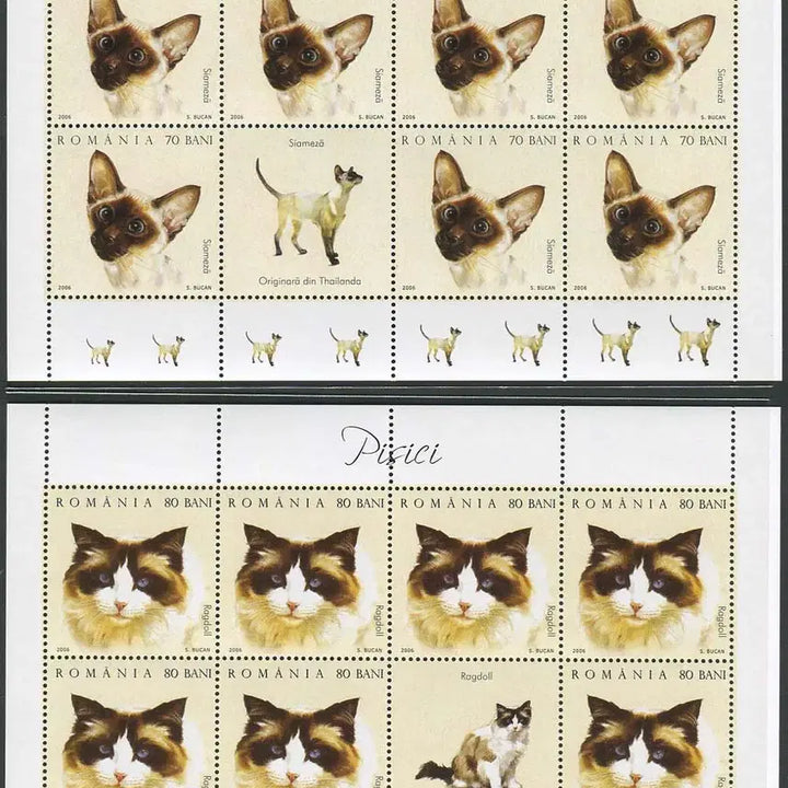 [BUNJANG] Romania Cat Sheet Set (2006) / [BKstamp외국우표]루마니아 고양이 시트 6종완(2006년)
