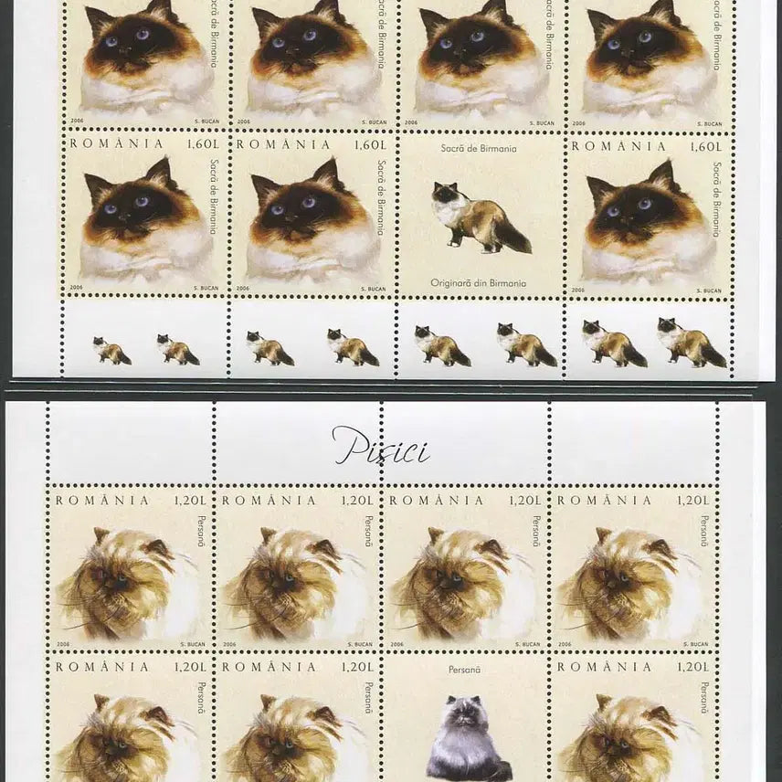 [BUNJANG] Romania Cat Sheet Set (2006) / [BKstamp외국우표]루마니아 고양이 시트 6종완(2006년)