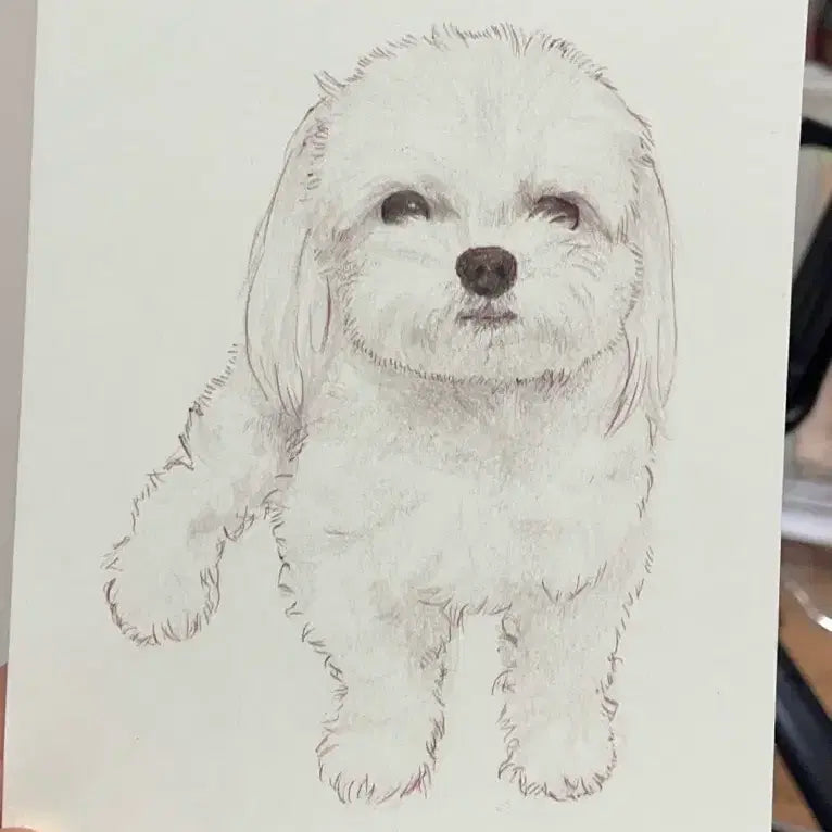 [BUNJANG] Pet Portrait Commission / 반려동물 그림 초상화 커미션