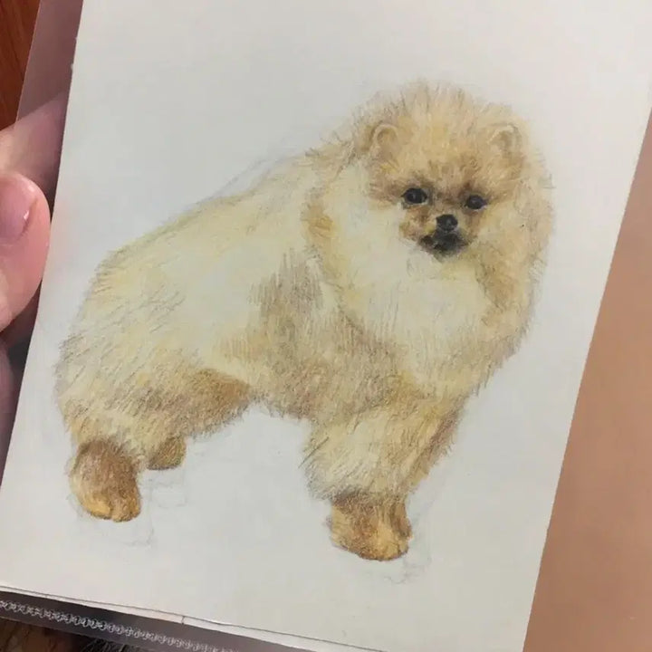 [BUNJANG] Pet Portrait Commission / 반려동물 그림 초상화 커미션