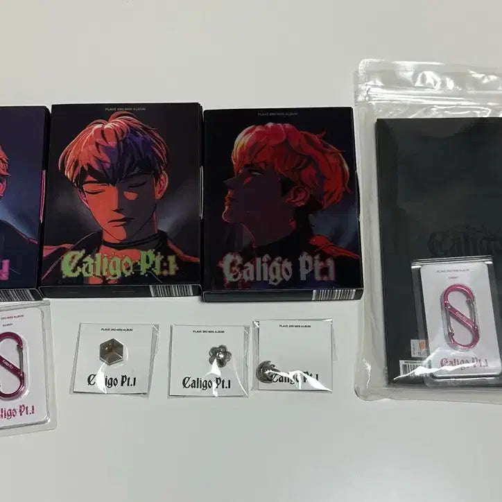 [BUNJANG] Playplug Calligo Album (1 Sealed, Unsealed Set) / 플레이브 칼리고 앨범 (1개 미개봉, 나머지는 포카없음)
