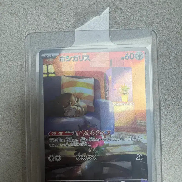 [BUNJANG] Pokemon Card Japanese AR / 일판 포켓몬카드 AR