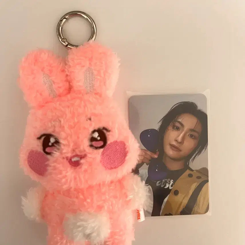 [BUNJANG] Anitz Boksil Ppogeul Ddeongbyeoli Doll and Photocard Set / 애니티즈 복실뽀글 떵별이