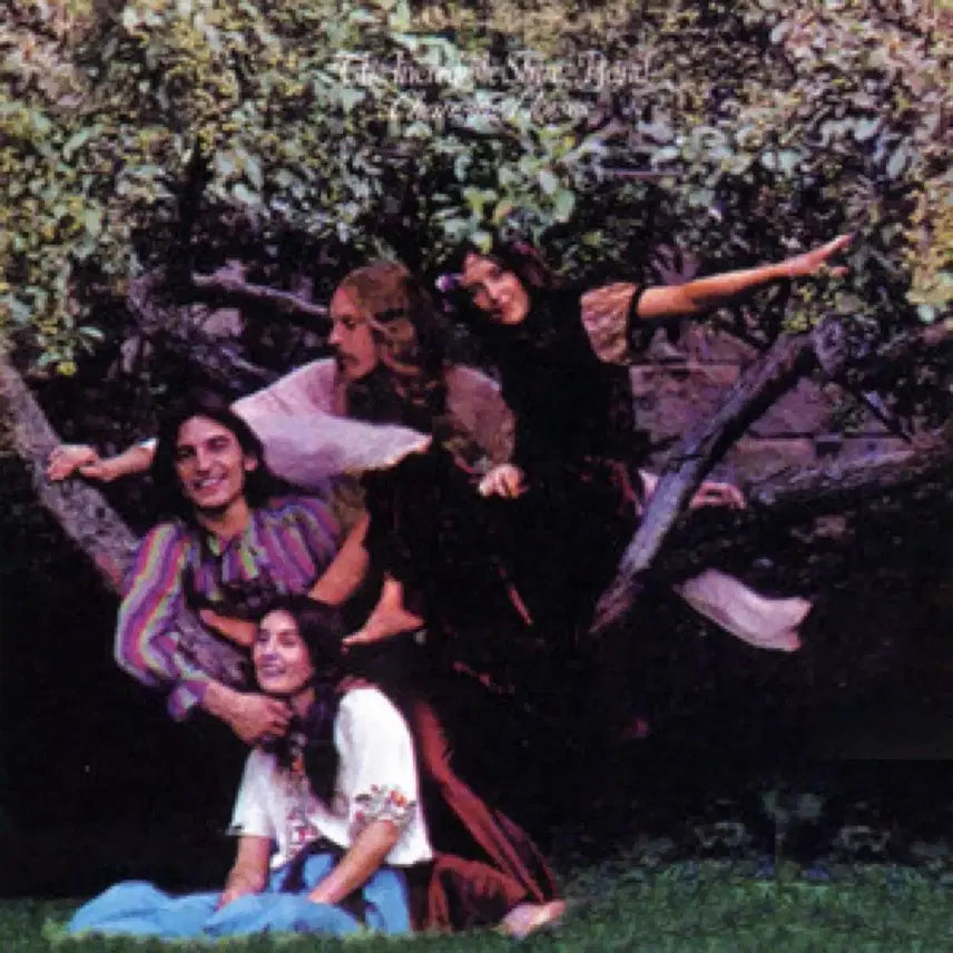 [BUNJANG] The Incredible String Band Changing Horses Album CD / 인크레더블 스트링 밴드 Changing Horses 앨범 시디 CD