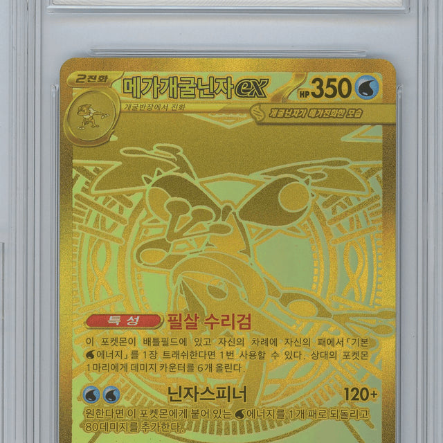 [BUNJANG] Pokemon Card Graded Set (BRG10) / 포켓몬카드 BRG10 등카 팝니다.