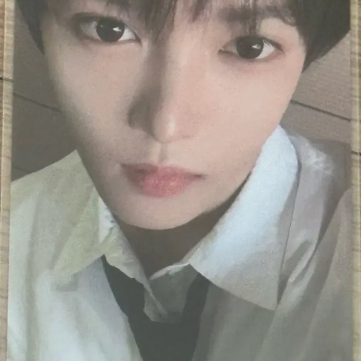 [BUNJANG] Zhang Han Yun Pop-up Photocard / 장한음 친떨 팝업 트레카