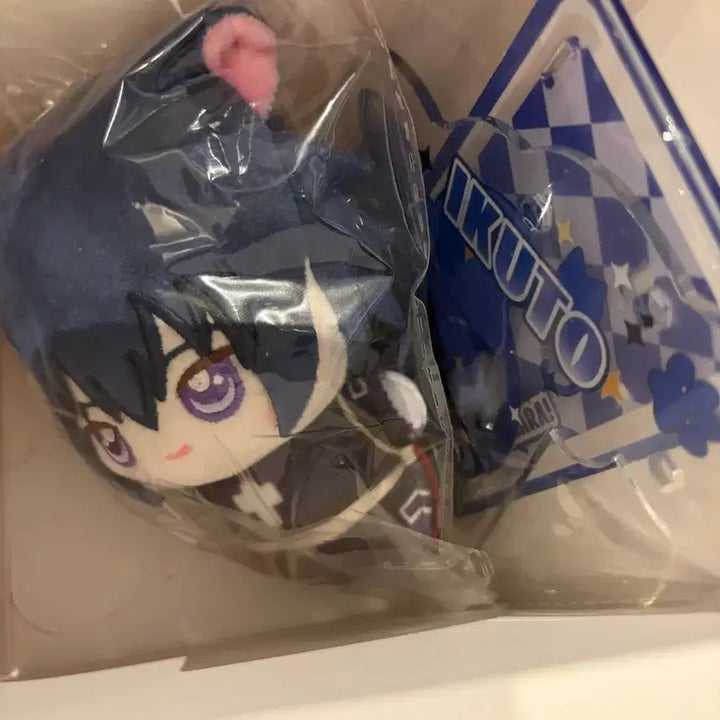 [BUNJANG] Character Animator Tomo Acrylic Stand / 캐릭캐릭체인지 인형 아크릴 스탠드 토마