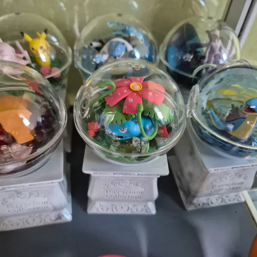 [BUNJANG] Pokemon Terrarium Collection Vol. 15 Full Set / 포켓몬 테라리움 컬렉션 15탄 풀셋