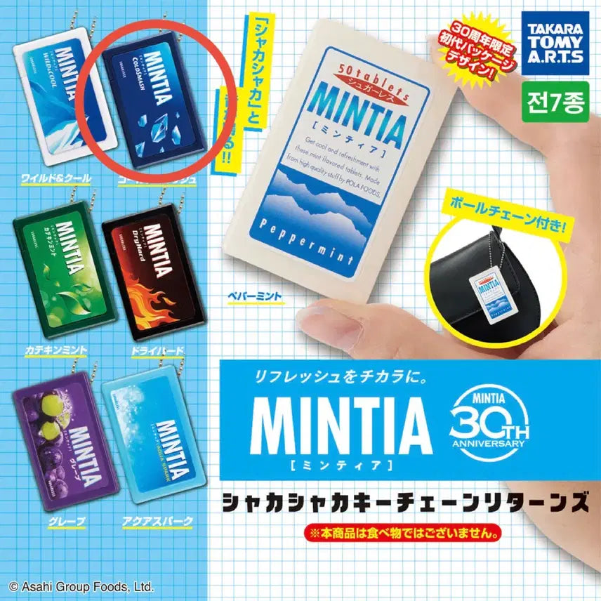 [BUNJANG] Mintia Shaka Shaka Keychain Gacha Cold Smash / 민티아 샤카샤카 키체인 가챠 콜드스매쉬
