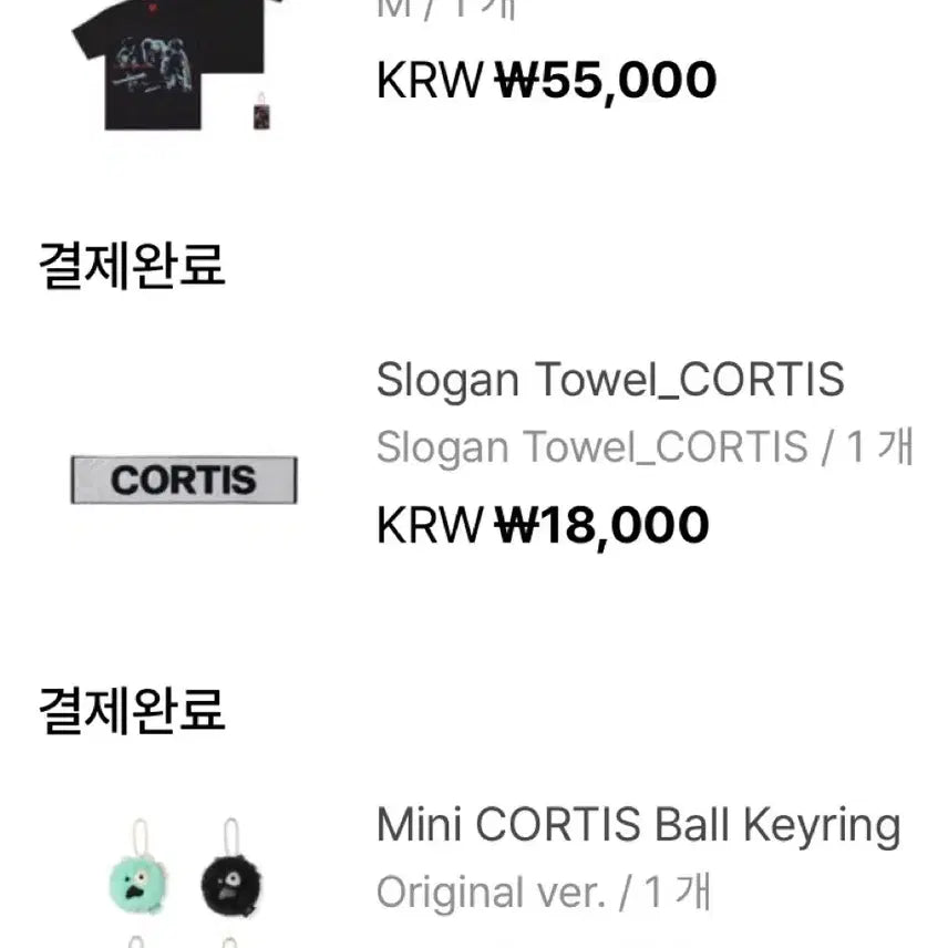 [BUNJANG] PYFD Tour Group T-Shirt (Mintball/Cortis) / 현물)코르티스 민트볼 / PYFD MD 투어 단체 티셔츠  M 사이즈