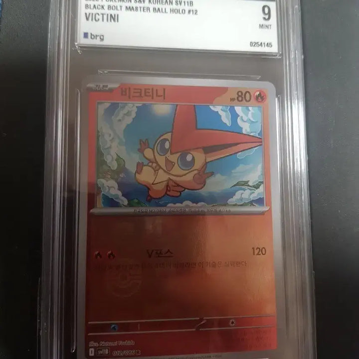 [BUNJANG] Viktini Master Ball Holo BRG9 / 비크티니 마스터볼홀로 BRG9
