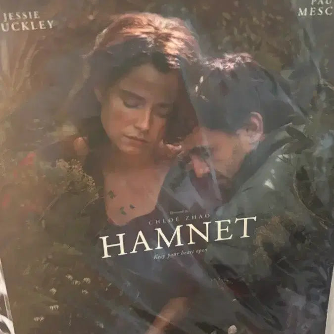 [BUNJANG] Hamnet Movie A3 Poster / 영화 햄넷 A3포스터