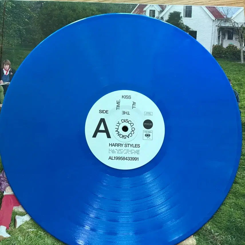 [BUNJANG] Harry Styles Kiss All The Time LP / 해리스타일스 kiss all the time lp
