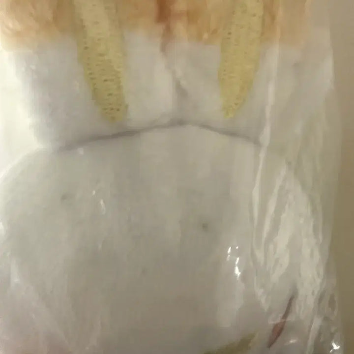 [BUNJANG] Pokemon Scorbunny Plush Doll Mascot Keychain / 미개봉 염버니 포켓피스 인형 누이 키링 팝니다