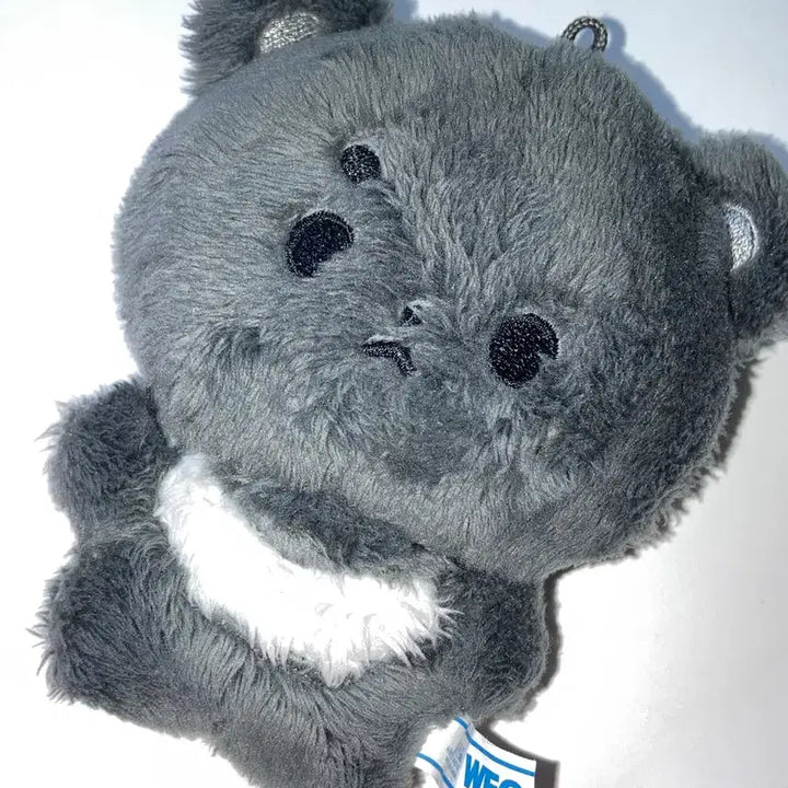 [BUNJANG] NCT Haechan Doll (Dal-dong-i) / 엔시티 해찬 인형 달동이 동혁 엔시티드림