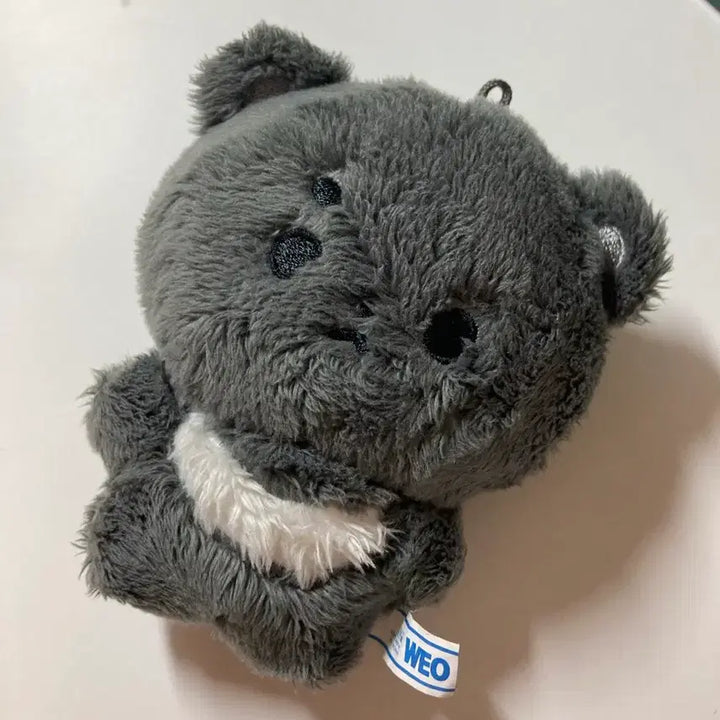 [BUNJANG] NCT Haechan Doll (Dal-dong-i) / 엔시티 해찬 인형 달동이 동혁 엔시티드림