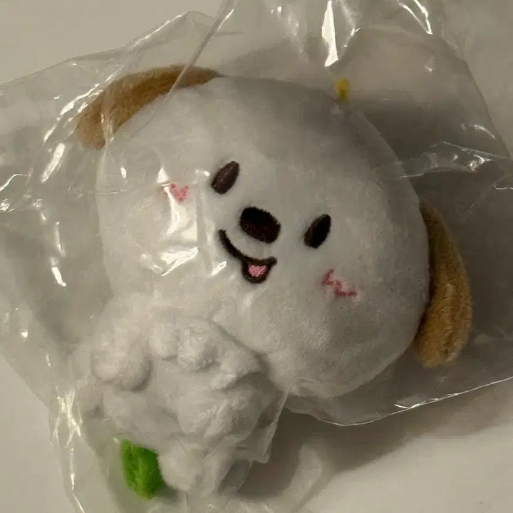 [BUNJANG] BTS SUGA Toy Doll / 상하이 대두 멍룡이 인형