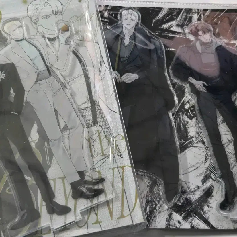 [BUNJANG] Code Name Anastasia M-O Fun &amp; Pop The Beyond Acrylic Standee Bundle / 2개 일괄) 코드네임 아나스타샤 코드아나 모펀 아크릴, 팝 더 비욘드 아크릴