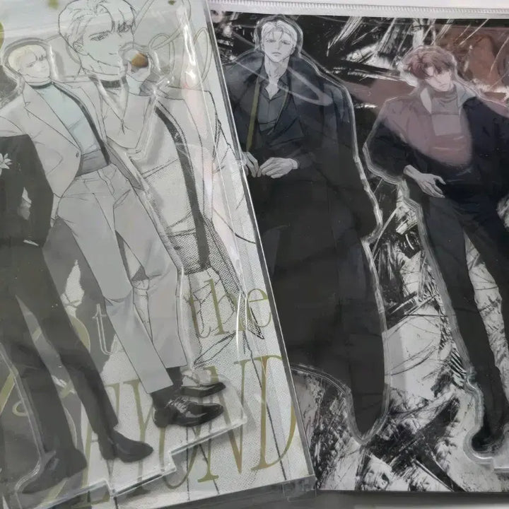 [BUNJANG] Code Name Anastasia M-O Fun &amp; Pop The Beyond Acrylic Standee Bundle / 2개 일괄) 코드네임 아나스타샤 코드아나 모펀 아크릴, 팝 더 비욘드 아크릴