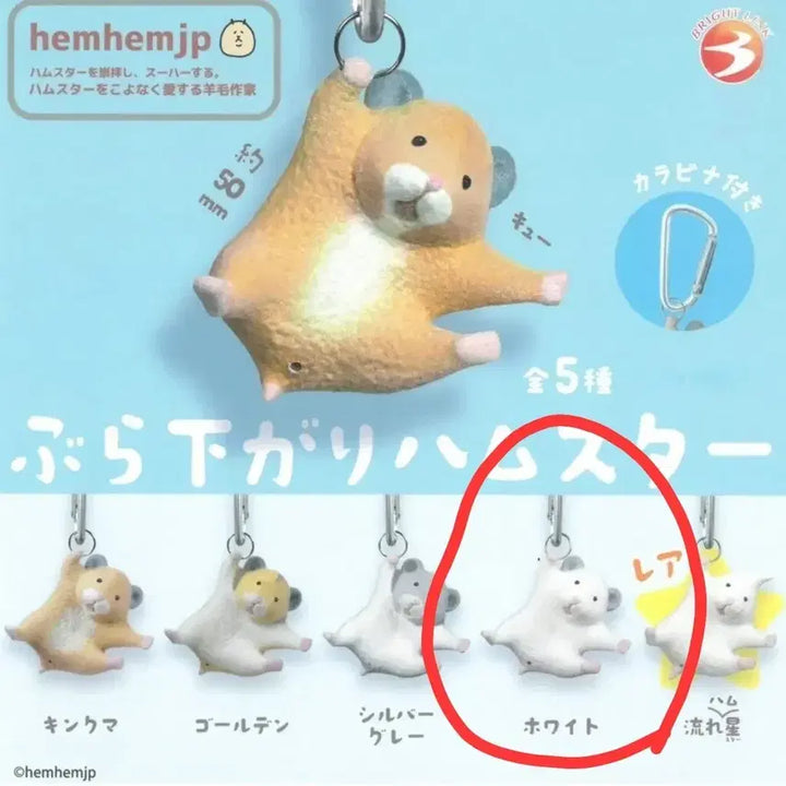 [BUNJANG] Hahm Hahm Jib Hanging Hamster Gacha Charm (White) / 햄햄집 카라비너 매달리는 햄스터 가챠 (화이트)