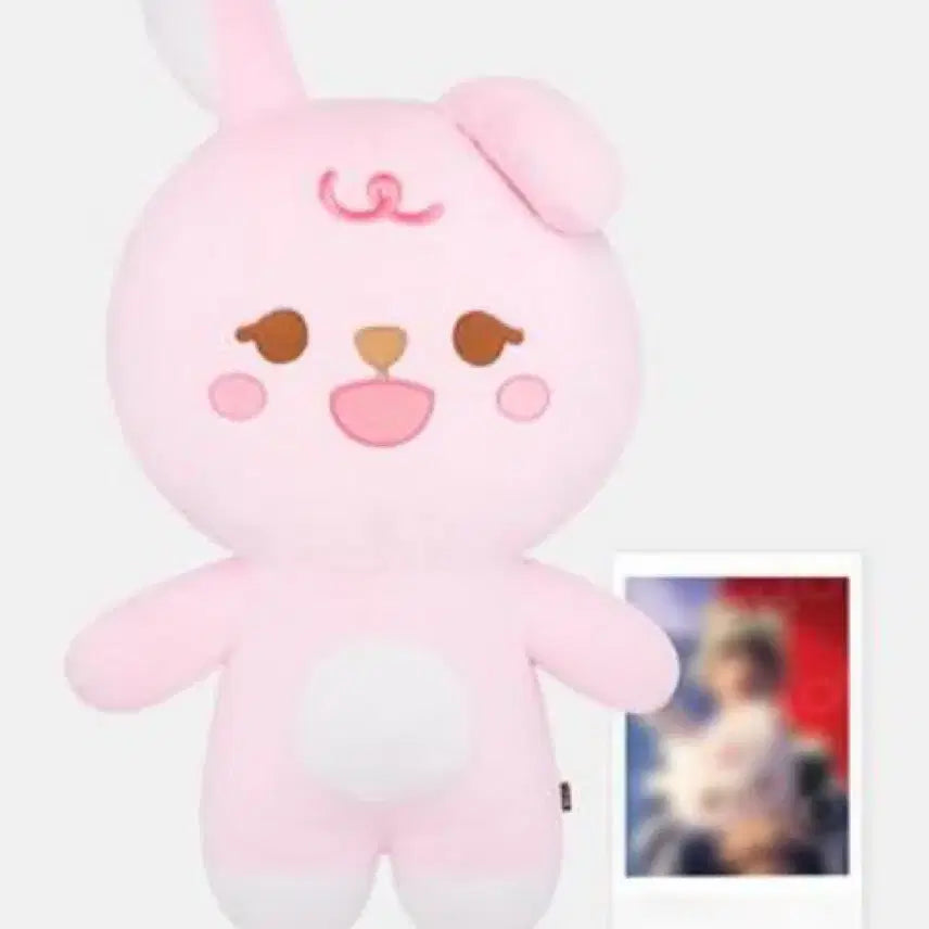 [BUNJANG] Day6 Young K Giant Denimals Petit Denimals Pil Bundle Set / 자이언트 데니멀즈 쁘띠멀즈 필 일괄 양도