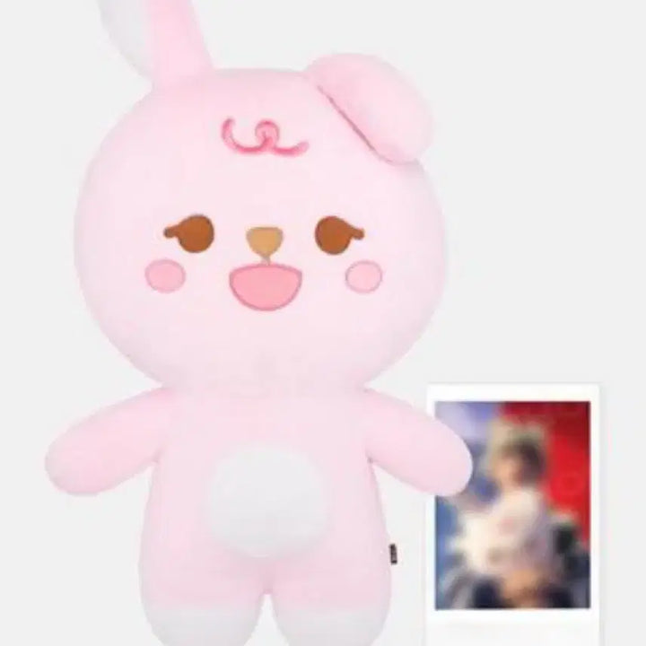 [BUNJANG] Day6 Young K Giant Denimals Petit Denimals Pil Bundle Set / 자이언트 데니멀즈 쁘띠멀즈 필 일괄 양도