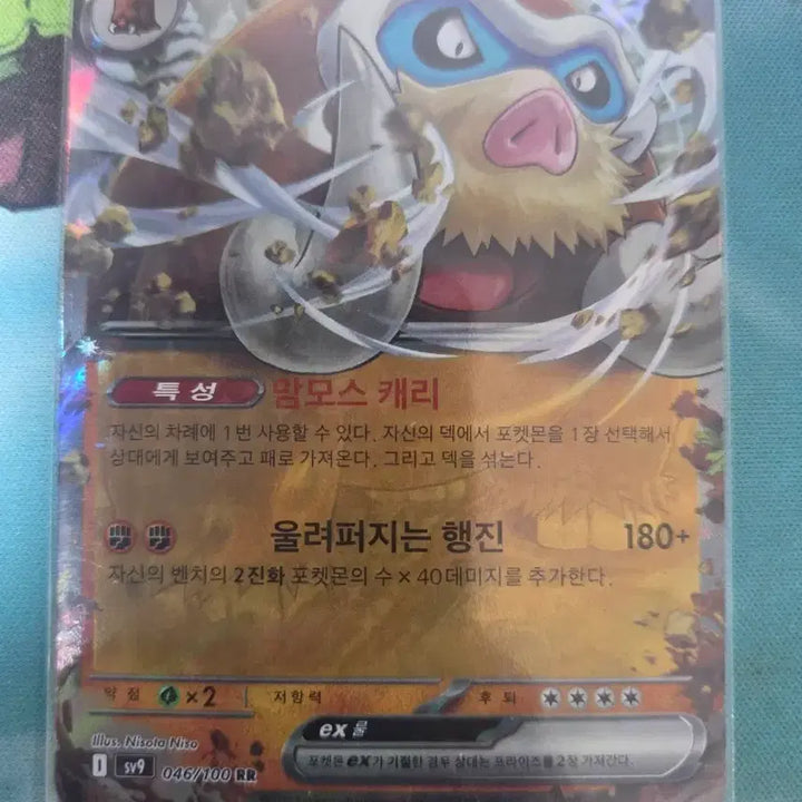 [BUNJANG] Pokemon Card Mamoswine EX / 포켓몬카드 맘모꾸리 EX