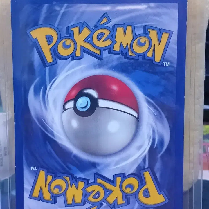 [BUNJANG] Pokémon TCG North American Base Set Pikachu Card / 포켓몬카드 피카츄 북미 베이스팩
