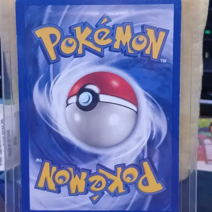 [BUNJANG] Pokemon Card Pikachu North America Base Set 2 / 포켓몬 카드 피카츄 북미 베이스팩2