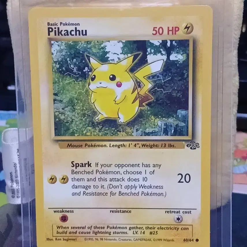 [BUNJANG] Pokemon Card Pikachu 60/64 Jungle Pikachu / 포켓몬카드 피카츄 60/64 북미 정글츄 2