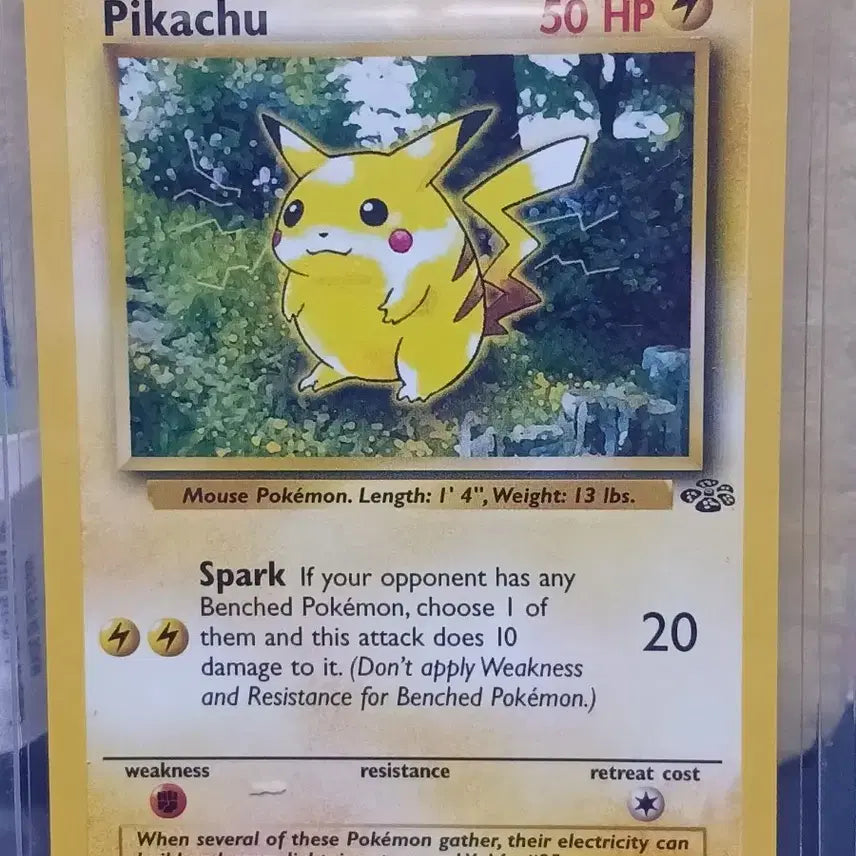 [BUNJANG] Pokemon Card Pikachu 60/64 Jungle Chu / 포켓몬카드 피카츄 60/64 북미 정글츄 3