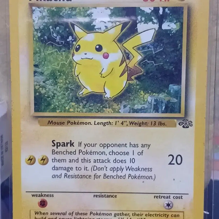 [BUNJANG] Pokemon Card Pikachu 60/64 Jungle Chu / 포켓몬카드 피카츄 60/64 북미 정글츄 4